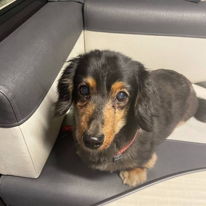 B51c8a86 1713 4a01 9813 07eb962126db 1620169719600