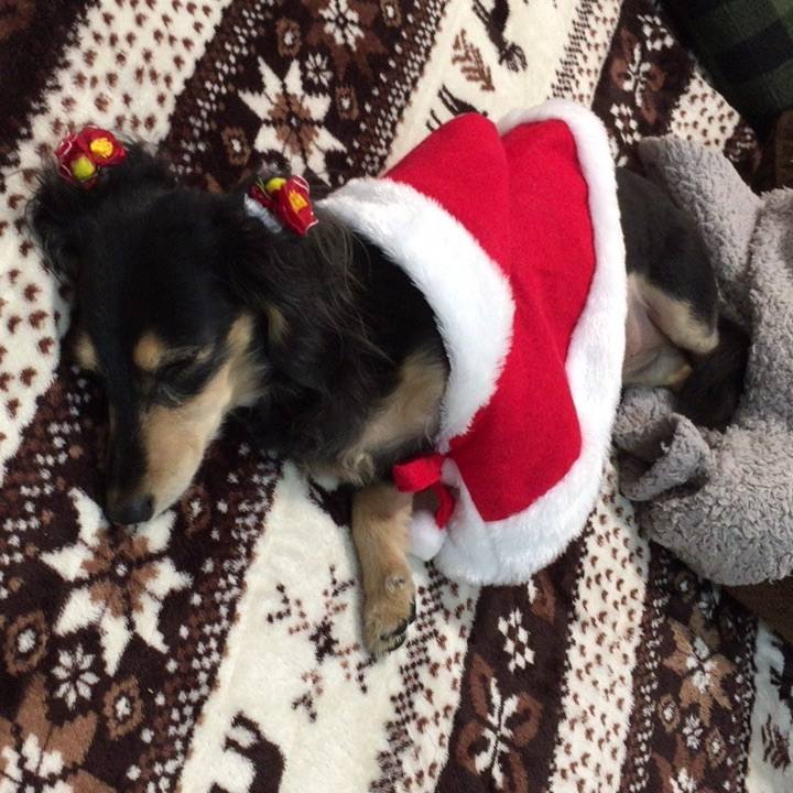 B51c9311 25c7 4cad b318 983027db1fa8 1545635319473