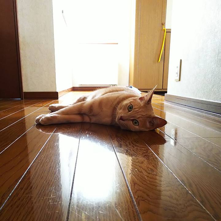 B51ca8df 3499 45cd ac2a fbbfda45711c 1597790508928