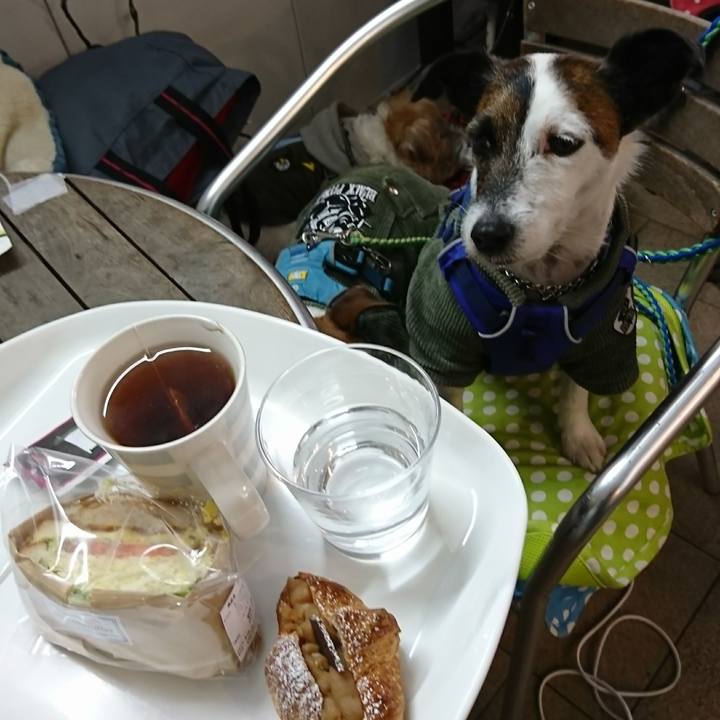 B51cbaf1 75a3 4ad3 8089 feb437fb2116 1609991889158