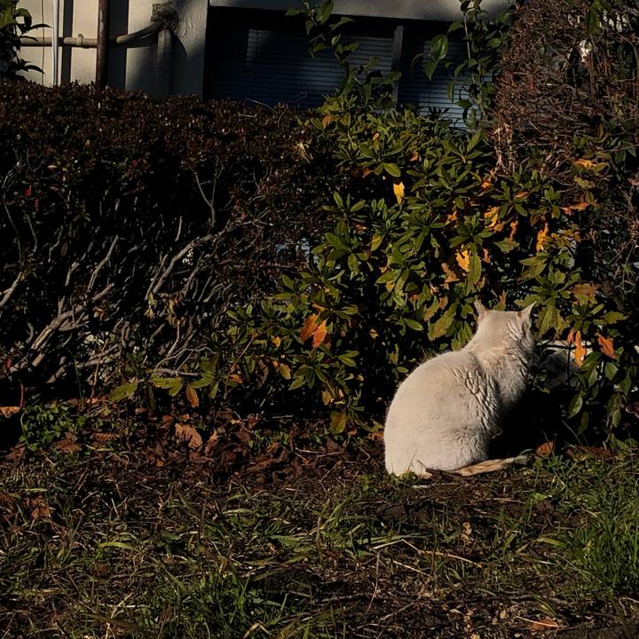 B51cf09b a0a7 455c a612 a71247a0e469 1644039422372