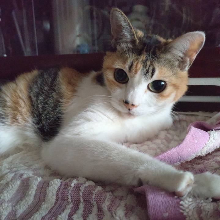 B51d5309 a153 4530 914d 19a8091d833b 1714864711798