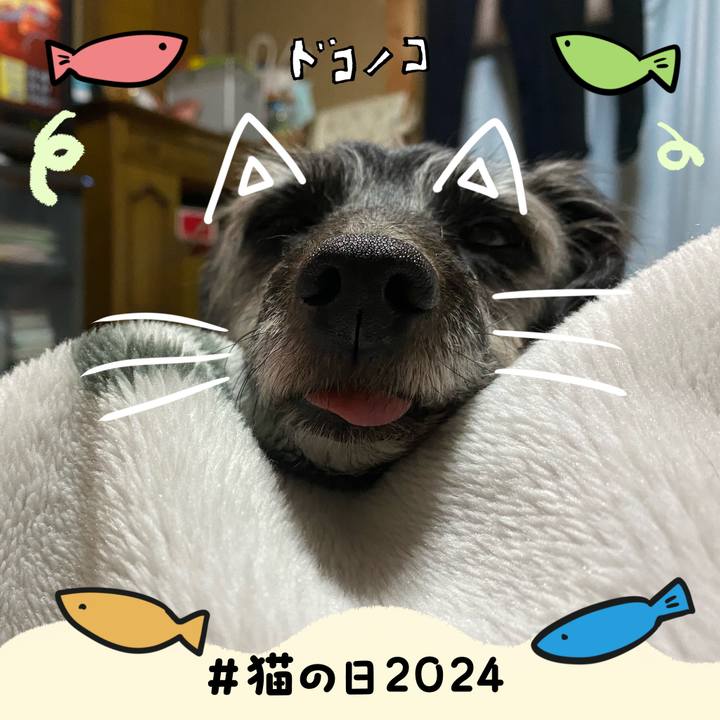 B51d6ed4 1a1f 44b0 be24 ec9b91479043 1708576087922