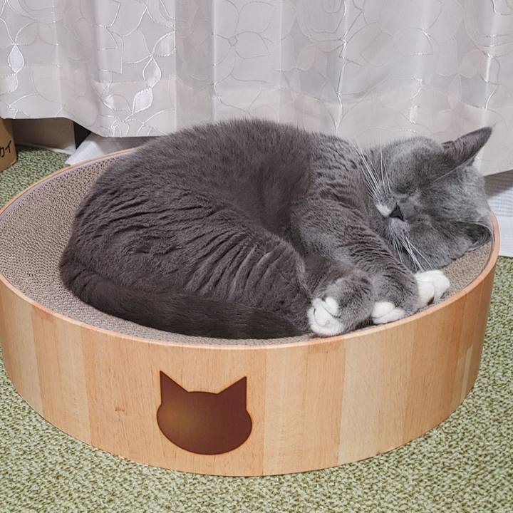 B51d95c4 dcd9 4381 997d 1371f592eeee 1627380008933