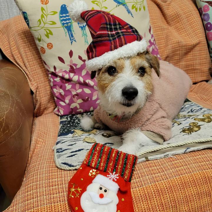 B51de26d 1e1a 4965 9dd3 a7cb3feaf946 1703419309024