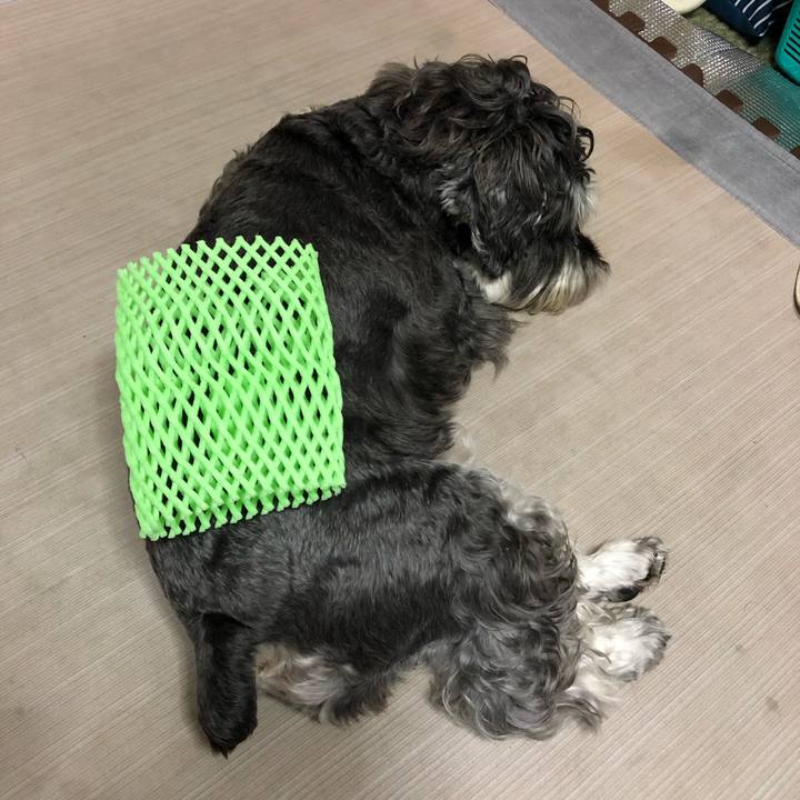 B51de9e7 2a2b 4d4e a9fe e8ec0e547e64 1630325382618