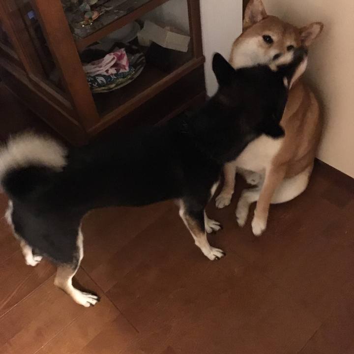 B51e12b3 ea04 4048 9dfa b258bb81f146 1572301979216