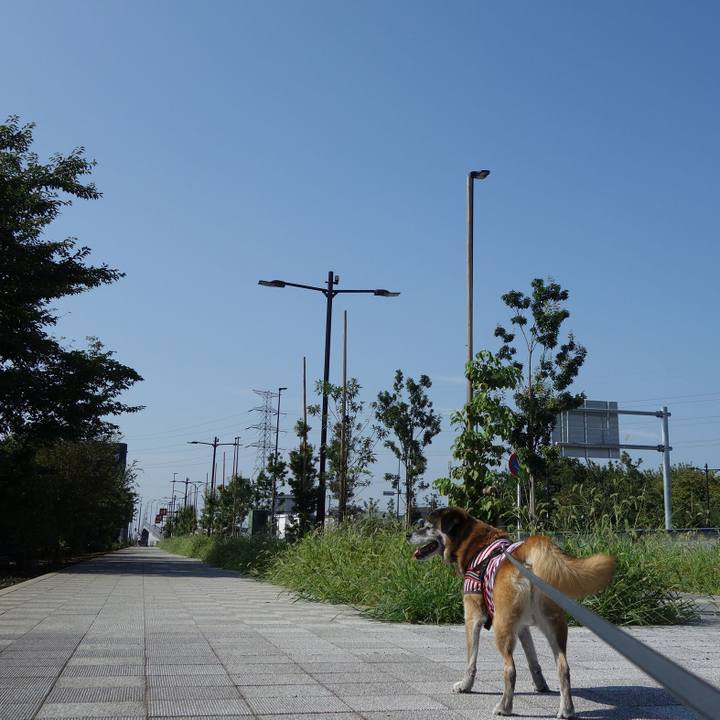 B51e2f20 10e3 43d9 b024 62ae17885589 1677803992949