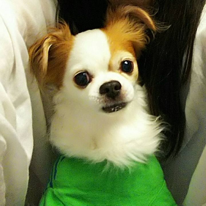 B51e4ec8 0c03 4679 9bc9 32b249ac0871 1719559676328