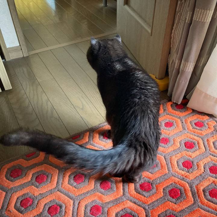 B51ea018 2767 48e6 8d1c b12e00ee8180 1616902111624