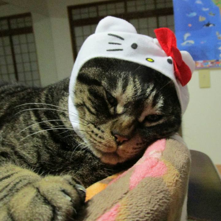 B51ed07d 3223 4e7e 9b9b 2512485a94cb 1517746312048