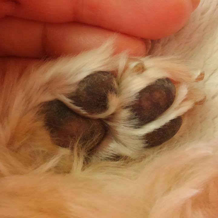 B51f0e82 745e 43c8 88db c8370a31fc49 1522447837226