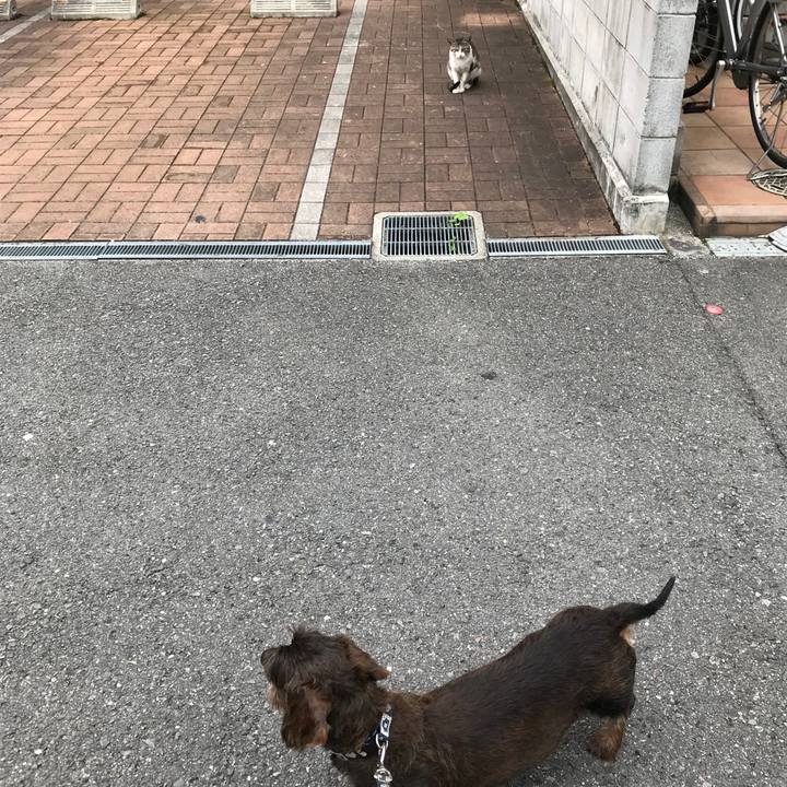 B51f1f98 e32d 491d a754 b2906b75748d 1529710700807