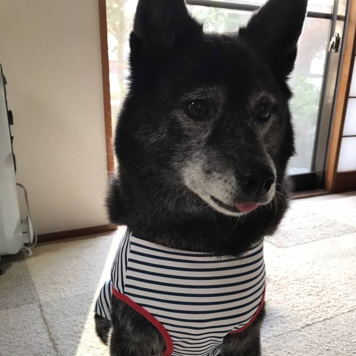 B51f27be 3184 4f61 9c0a 2f4fc36bafae 1558444815159