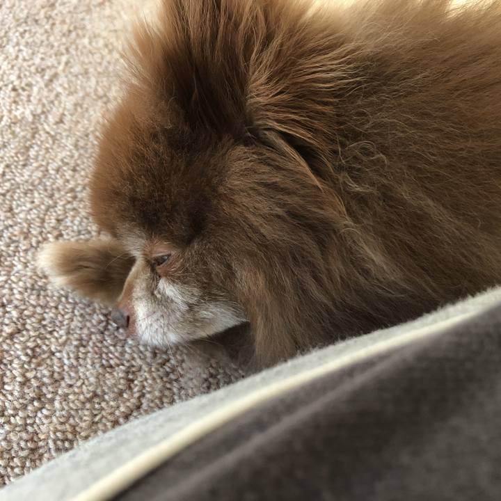 B51f53f3 4aa8 472f a350 e0e75760f74c 1583723708897