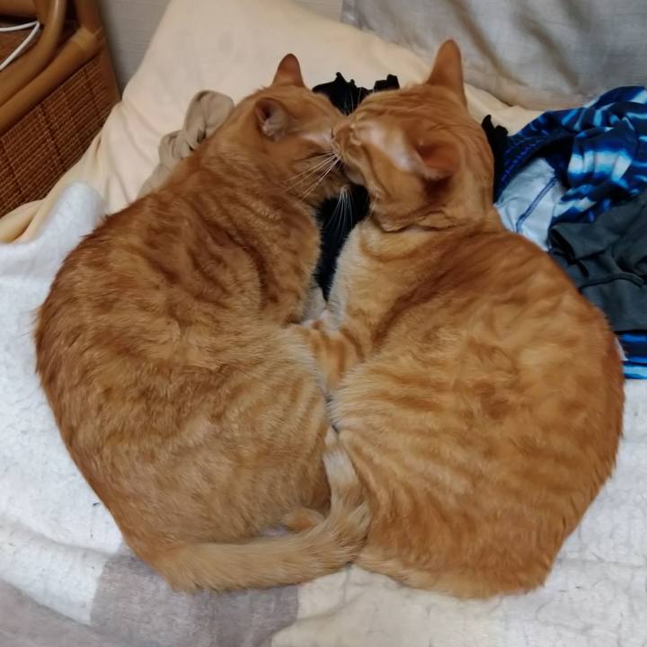 B51f69b8 ffca 4f12 96bc 353c930c5b76 1584260602153