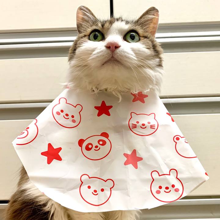 B51f74cd 11dd 48a9 a629 99dc6c175f5b 1584536863751