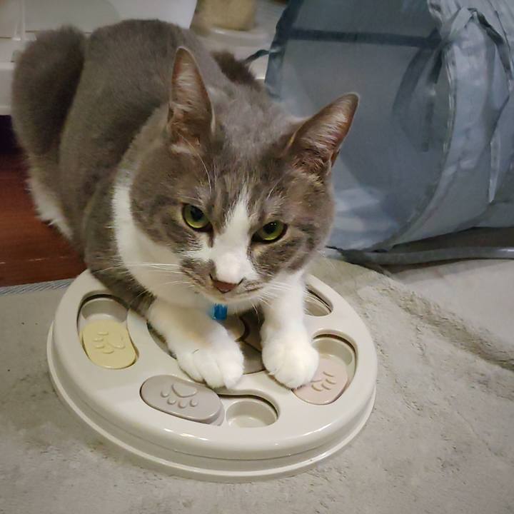 B51facd6 a271 4352 a249 bb855dc1c06a 1712534943653