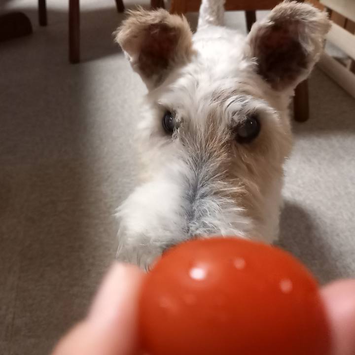 B51fb8db 9098 4835 ad99 fbeee7dc1f57 1631108713536