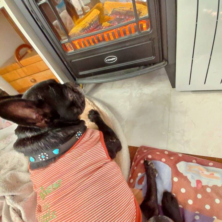 B51fe72e 385a 40b5 ab69 a4830c7a4088 1635026653211