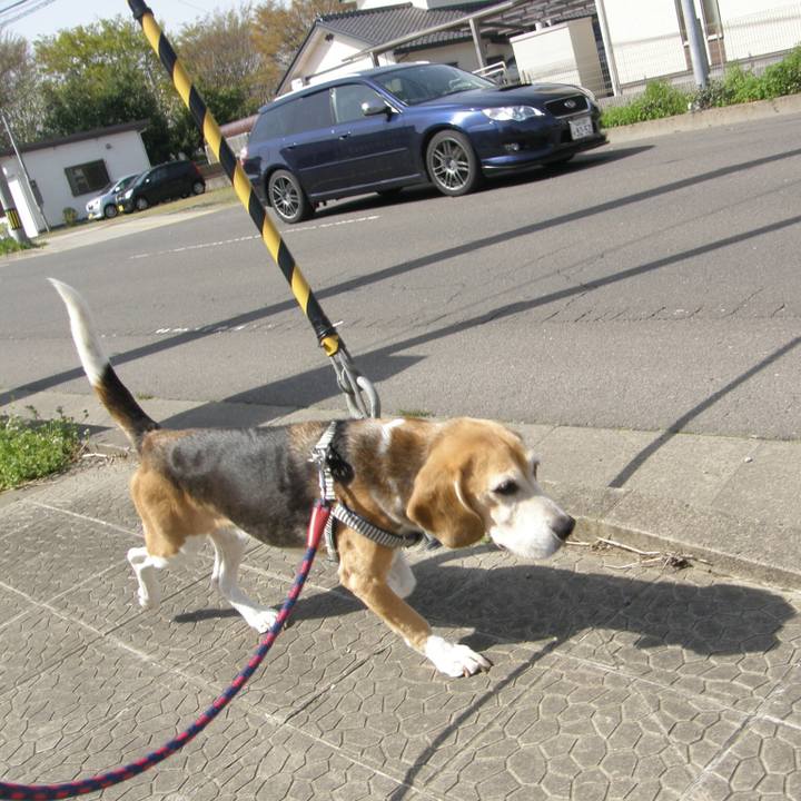 B51ff4c2 122b 406c 8d58 15edd131aad9 1631716474186