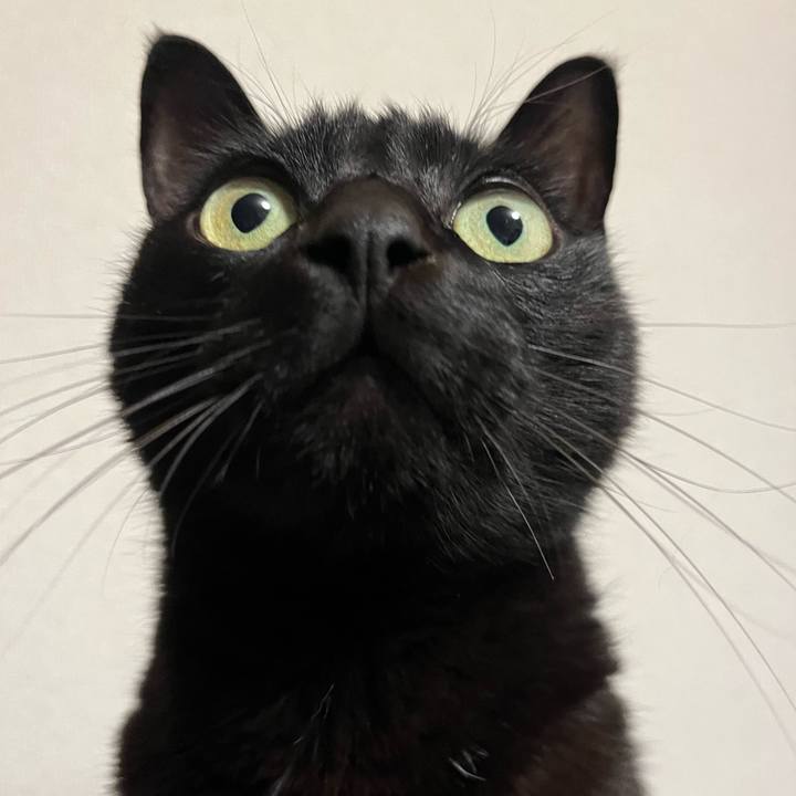 B52022bb 7ecf 466b ac0a de2fb8daff13 1711892857128