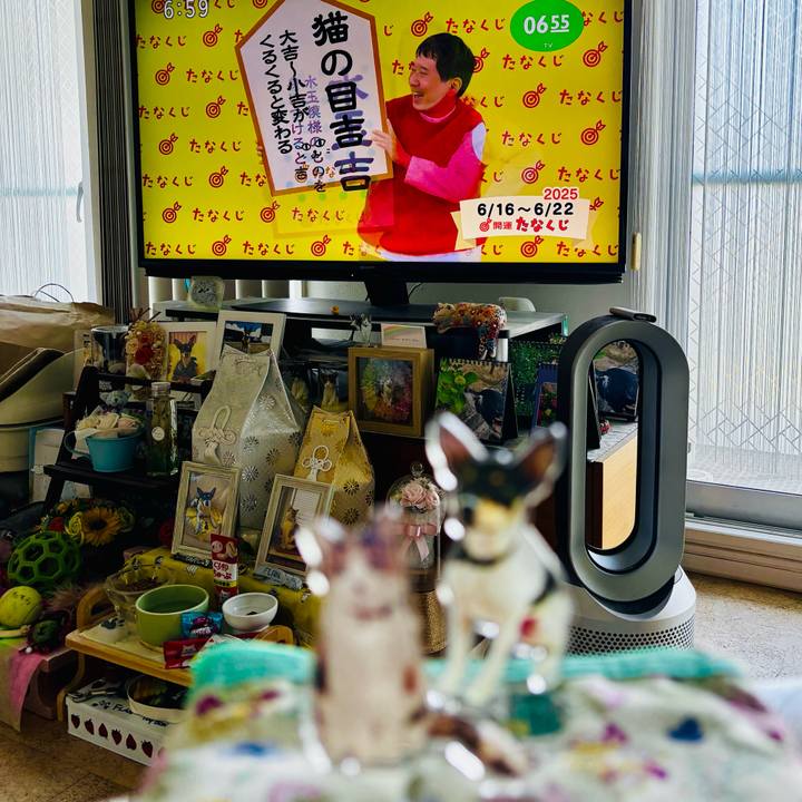 B5203d6a c713 4f68 822e 9fe508d2651b 1750026863915