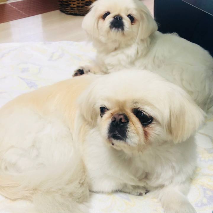 B5204203 0008 437d 9403 0c1f2fcc4589 1587275899184