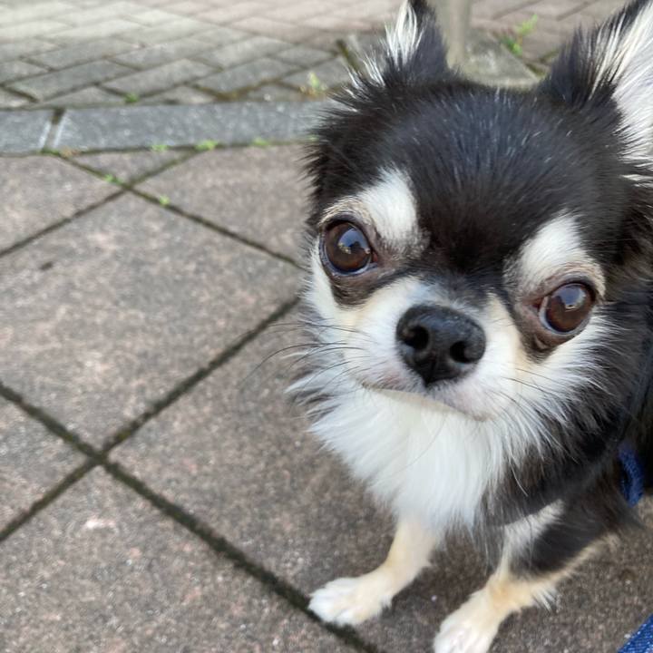 B520a008 8c07 4298 a776 b270dcfd40ba 1620447062972