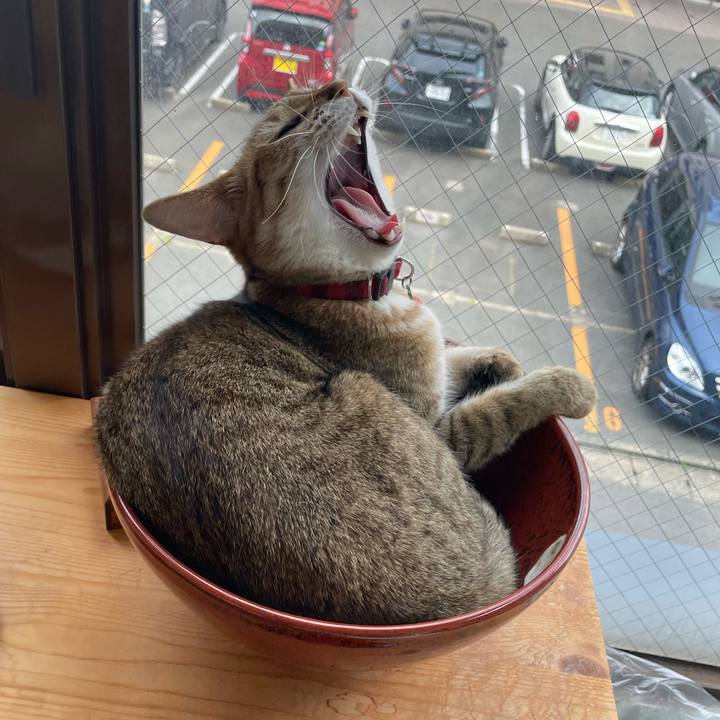 B520af75 a238 4c36 a78d f2a6ed866c09 1688393631716