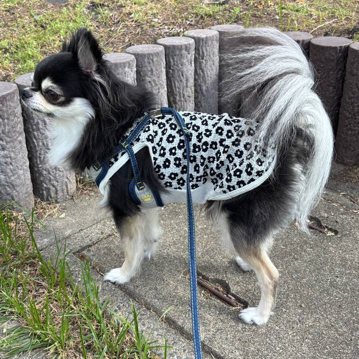 B520d518 98ef 4665 bc8f ce36fef06a61 1750526154837