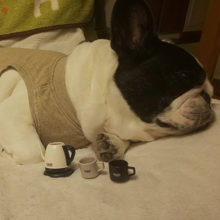 B520fba8 f4c9 429b a804 08b692324872 1635031771172