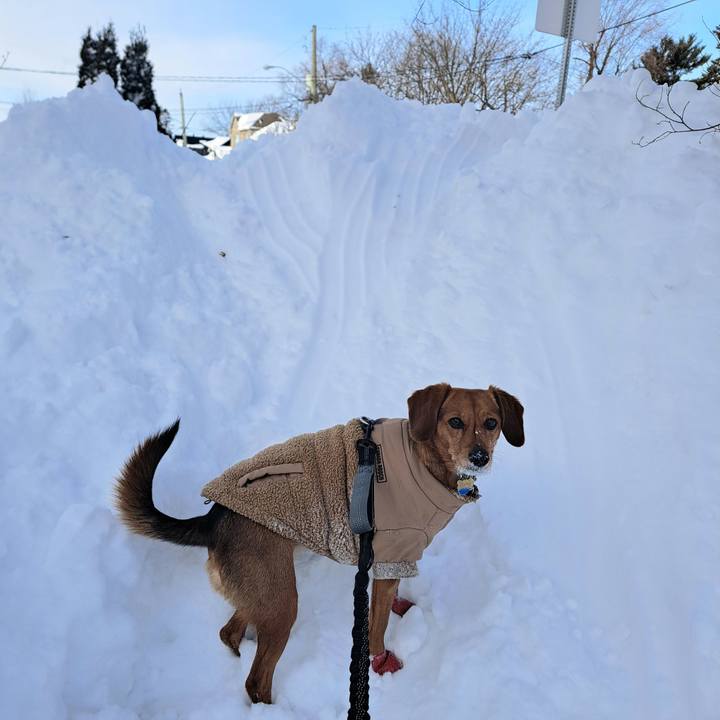 B5214313 162d 4b2f aa95 03277137a373 1769471257874