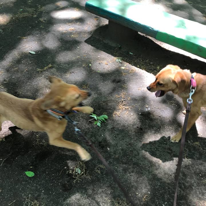 B521916c 73a9 4afa b10d d26140f95047 1524883192771