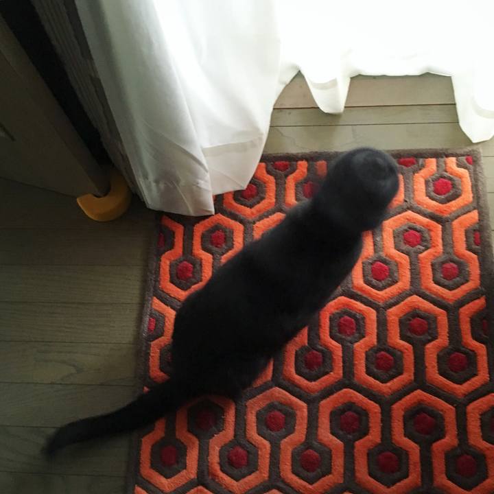 B521a0f9 7b5d 43b6 887e 09aee45073da 1561955463801