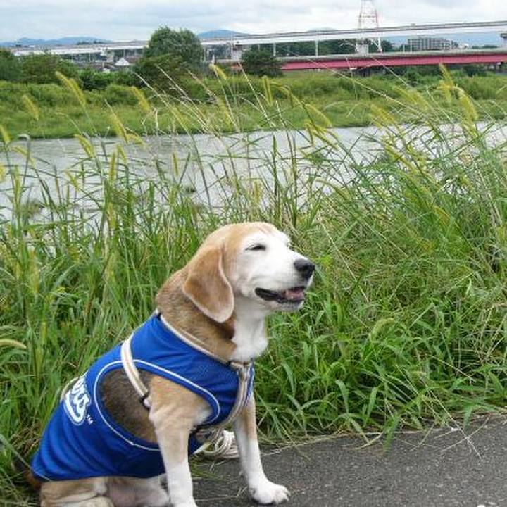 B521a7f6 13ef 43b7 9f11 a7fbc899a0a1 1653955403842