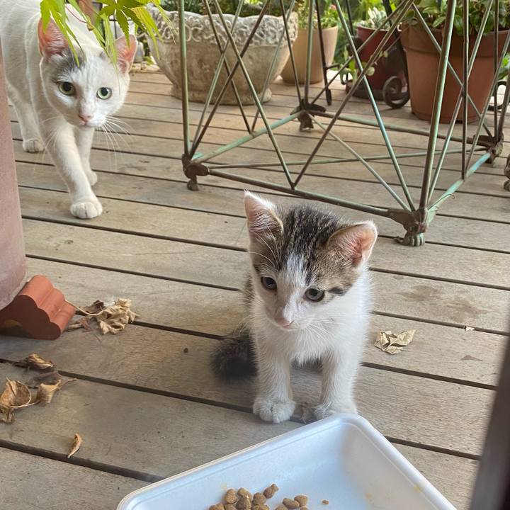 B521aa26 139b 41f5 9c80 9aba6548d1d7 1628201812965