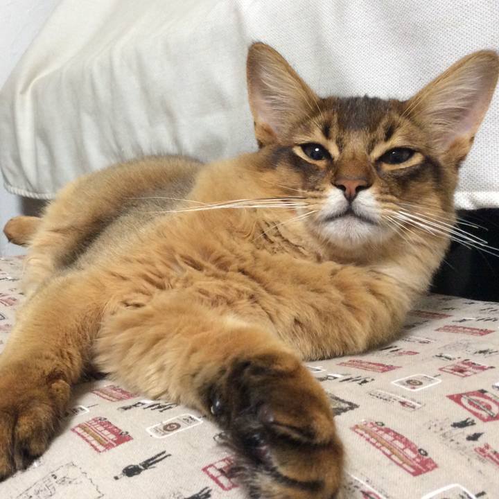 B52223b3 36d9 4141 9028 b079139470c5 1577969738048