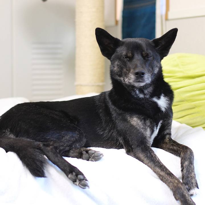 B5223f45 ac19 40be 9efd 9e02bb10df66 1560813082290