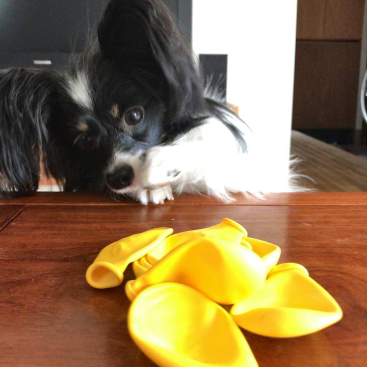 B5225c91 08cf 45b0 88bb 404cbd43a88f 1516495937324