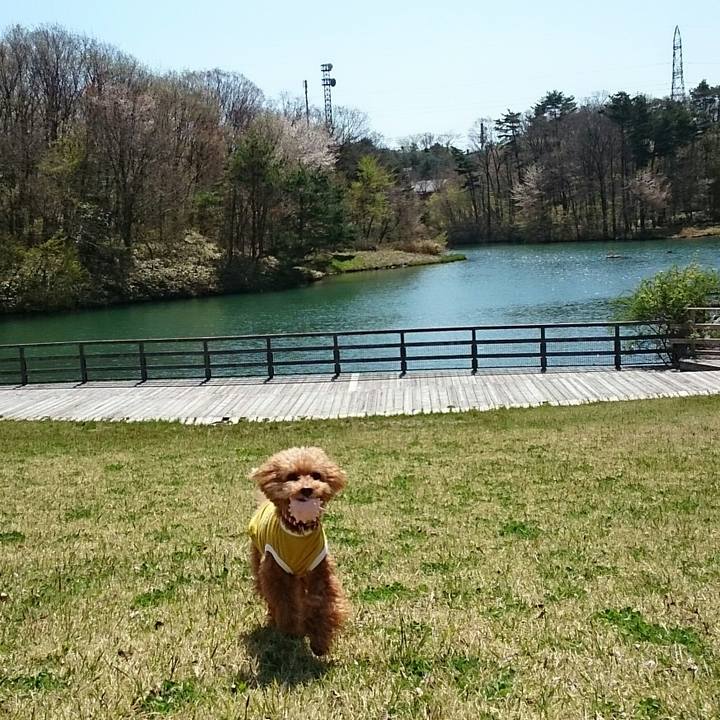 B522796a e174 46d1 9a83 7e5daa228c79 1524125343279