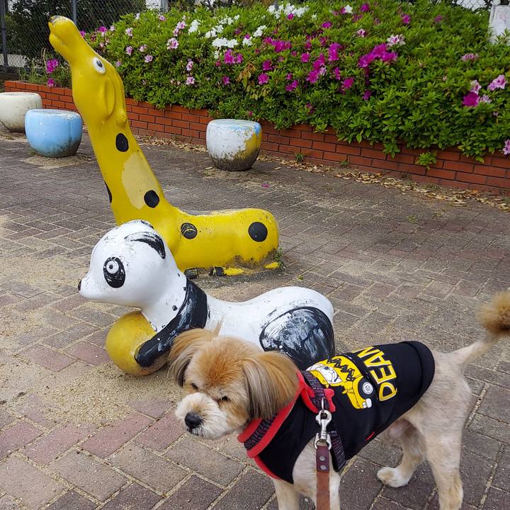 B522d31d b9c3 47cc a768 de38a7b586c6 1650242422523