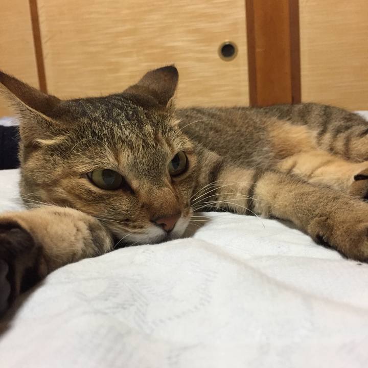 B522d3de ab78 4098 b9ac 6556d7c8c150 1535984121895