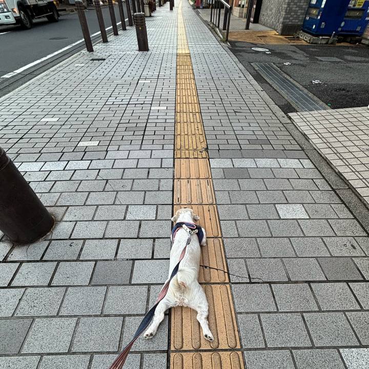 B522fb69 b343 4413 a8de 61f2a63e3b07 1757453912766