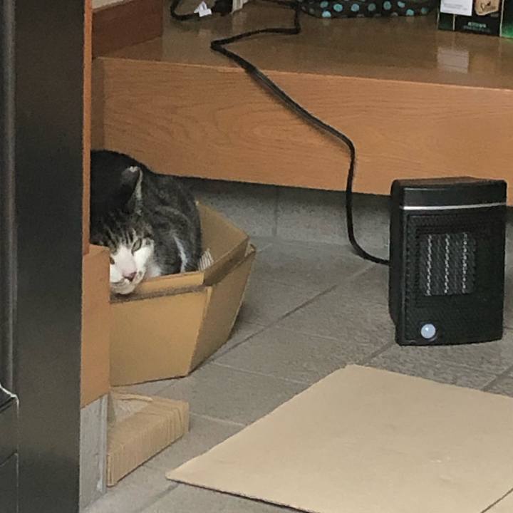 B522fecd 4d25 476e 963b 0424eef7be60 1583303368685