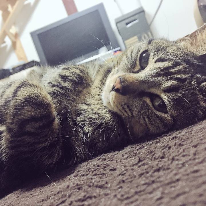 B52327cf 0aca 4cc7 8a0c 8c7fbf10c1b7 1519741888027