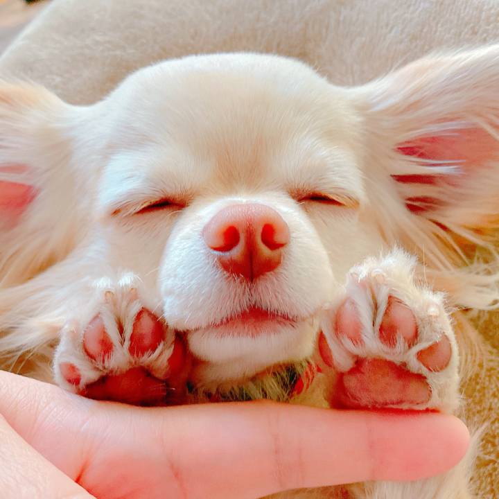 B5233b61 5635 4485 8dc5 e3868ad86d50 1644312483403