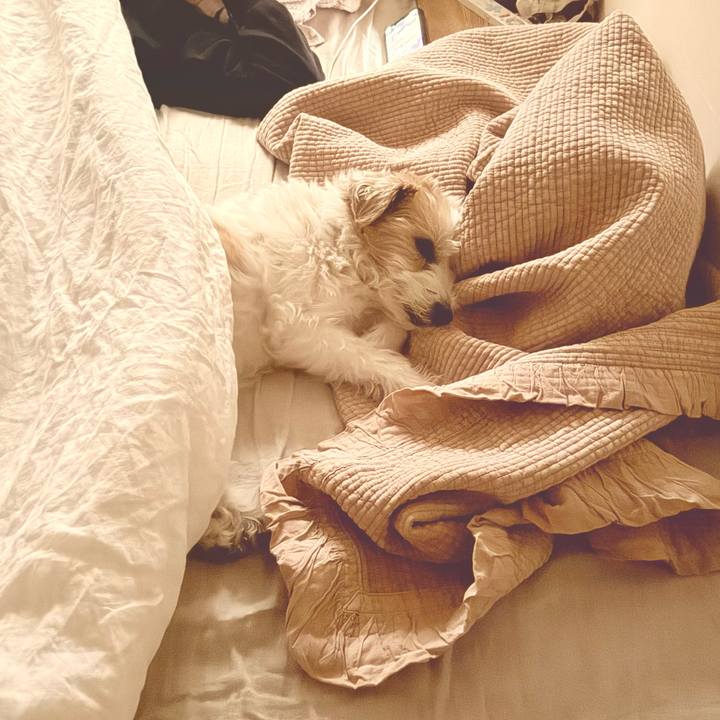 B5235981 fc95 458d bba8 6f835aab8a87 1769952250546