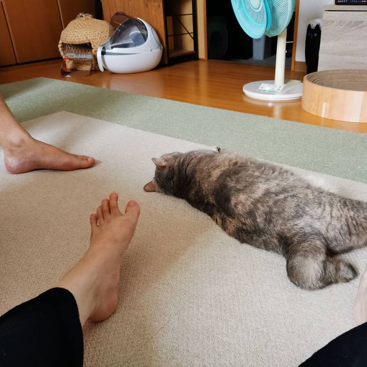 B523701b ed7f 4428 bb9a f4443a186a25 1660631669062