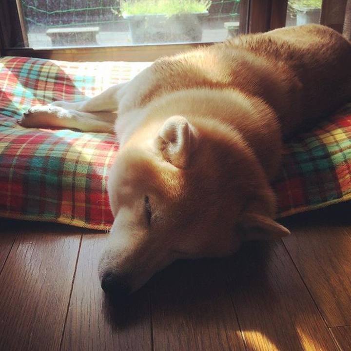 B52375ef a2e1 4eb3 9b42 1cb565c676a4 1520435193141